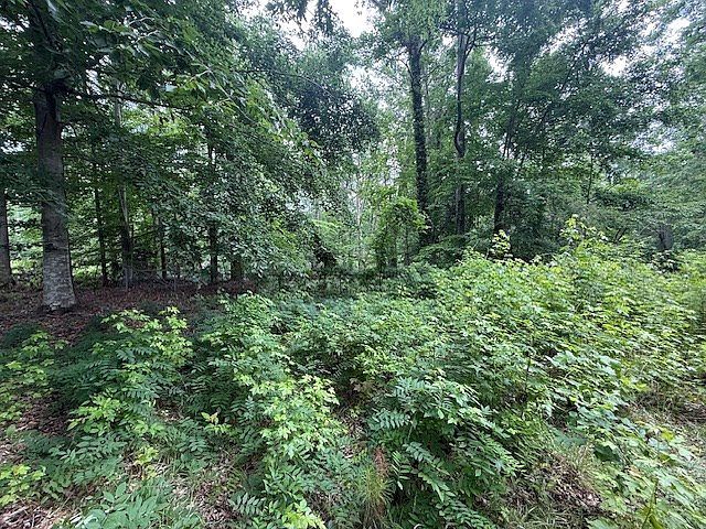 410 Dogwood Dr Greenwood, SC 29646 - Thumbnail 5