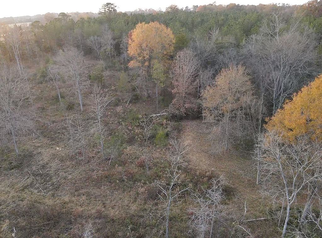 0 Rock House Rd Greenwood, SC 29646 - Thumbnail 5