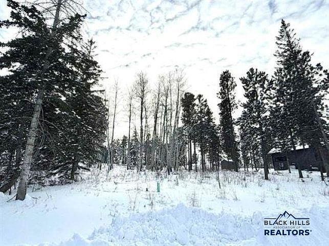 Smokey Court Trail Side Addnsmokey Stoke Ct LOT 31 Lead, SD 57754 - Thumbnail 5