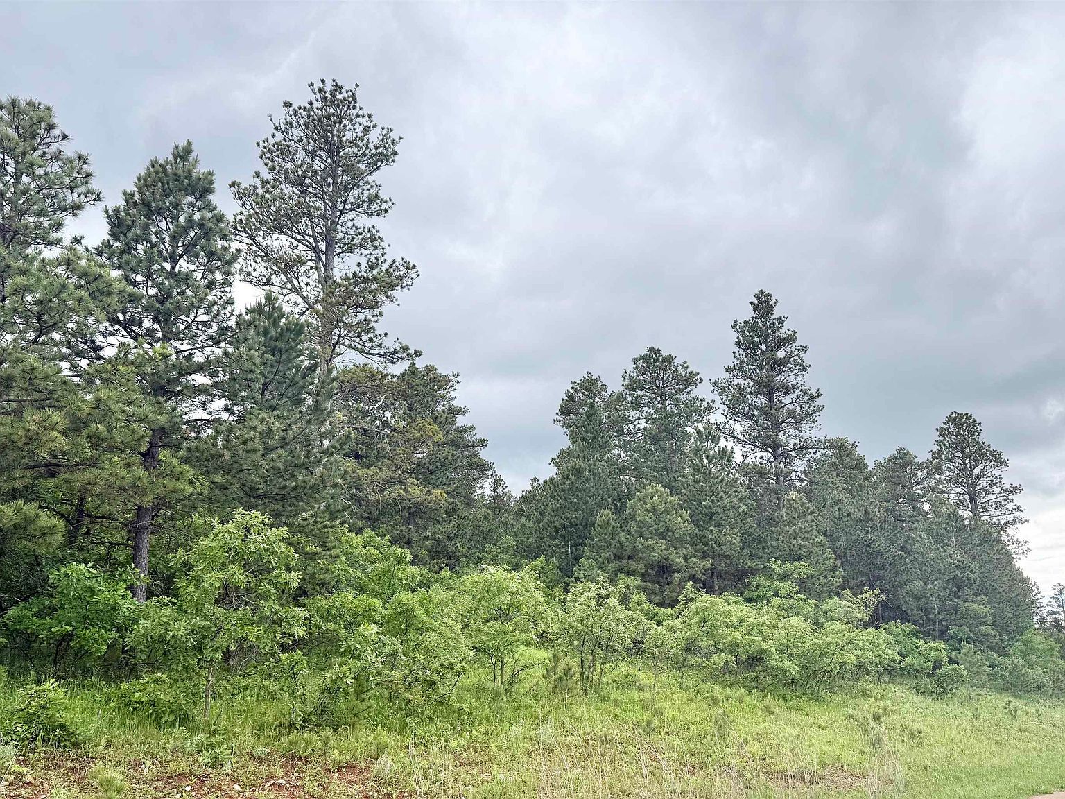 LOT 5 Tanager Ct Spearfish, SD 57783 - Thumbnail 5