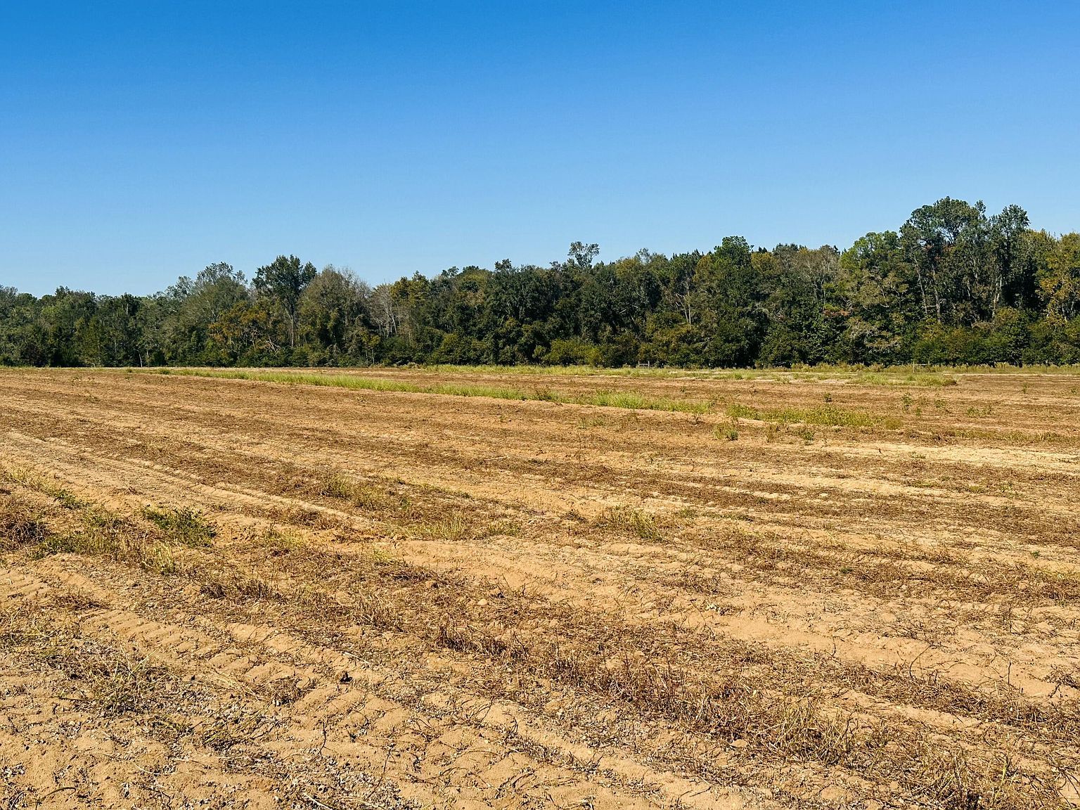 LOT 7 E Highway 2 Bonifay, FL 32425 - Thumbnail 5