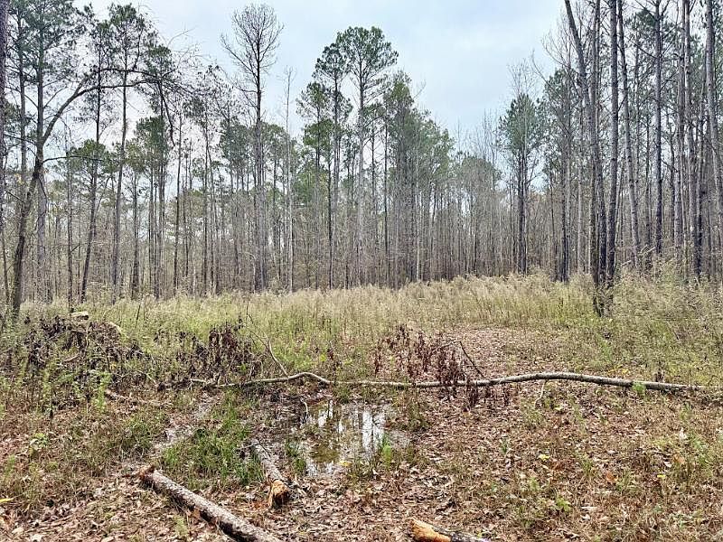 111 Martin Dr Houston, MS 38851 - Thumbnail 5