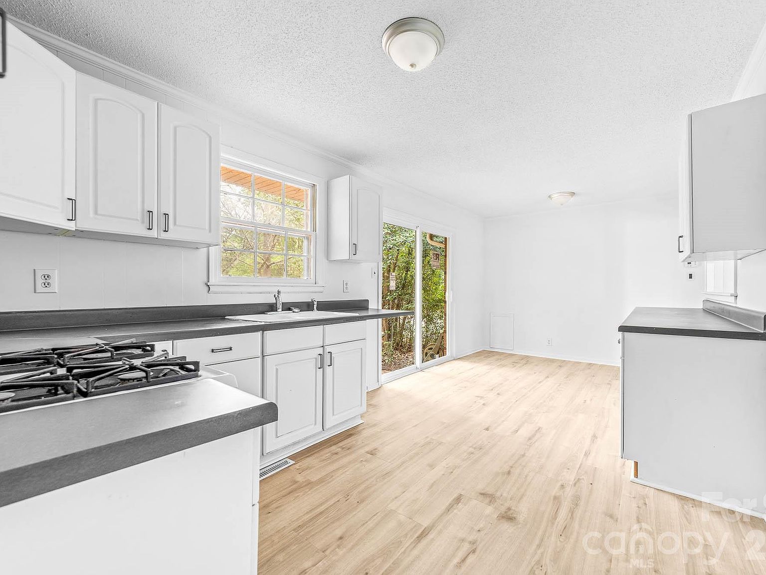 785 Rabun Ln Rock Hill, SC 29730 - Thumbnail 5