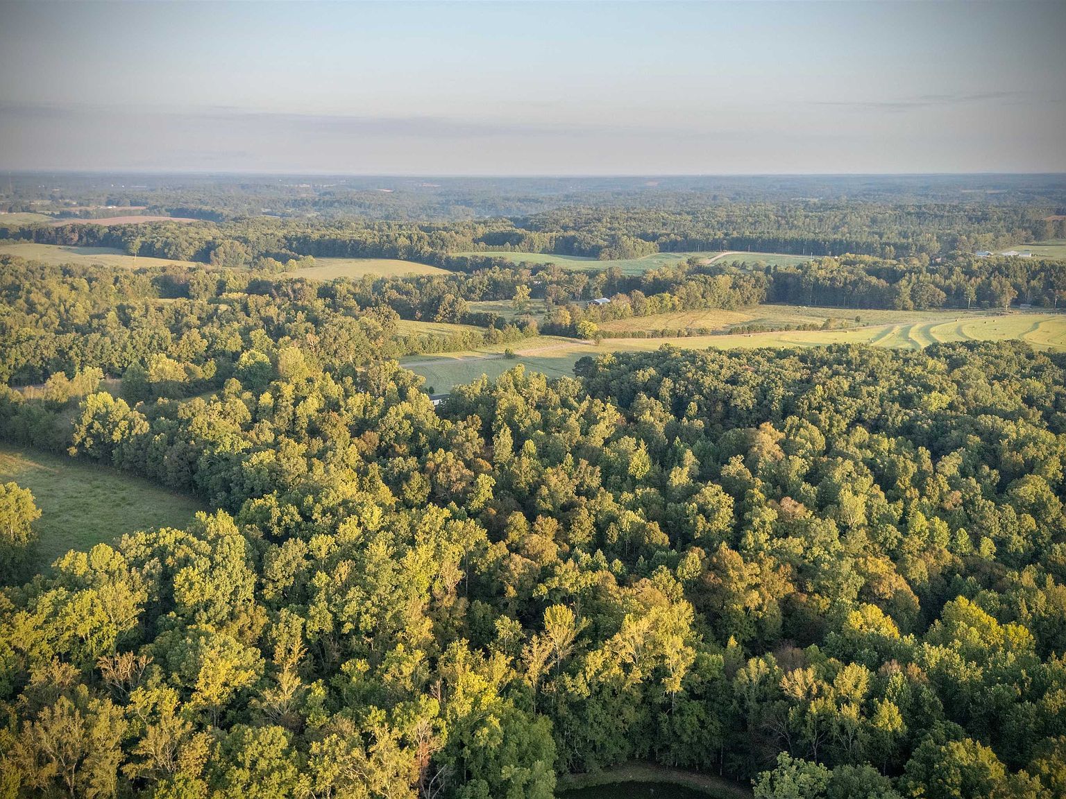 3 County Road 503 Anderson, AL 35610 - Thumbnail 5