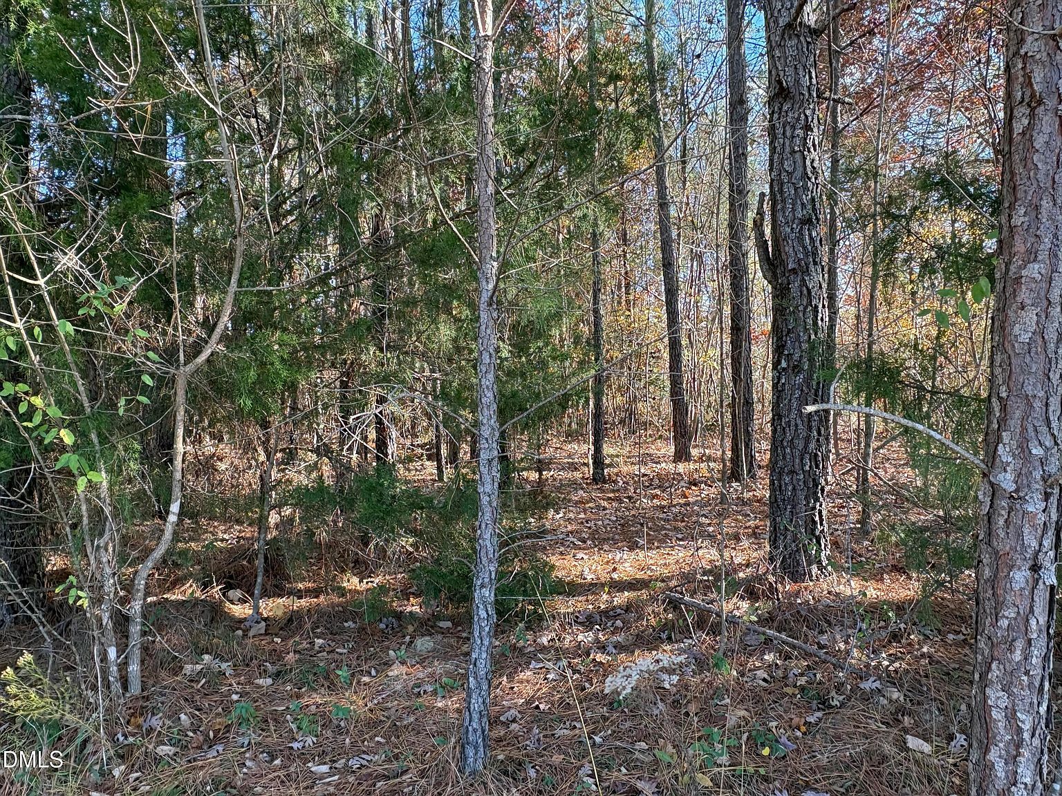 453 Golfers Vw LOT 626 Pittsboro, NC 27312 - Thumbnail 5