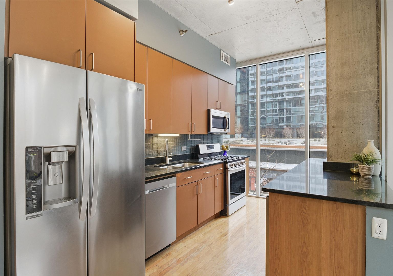 1720 S Michigan Ave APT 308 Chicago, IL 60616 - Thumbnail 5