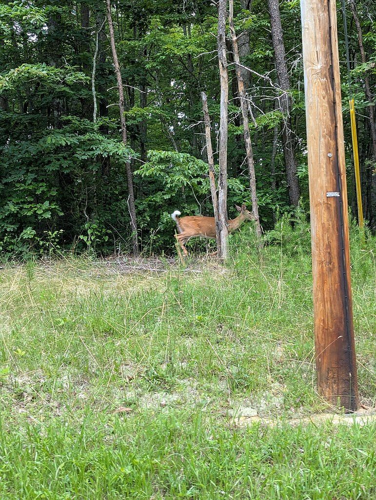 0 Scenic Pl Monterey, TN 38574  | Land/Lot