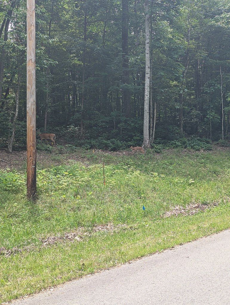 0 Belmont Dr Monterey, TN 38574  | Land/Lot