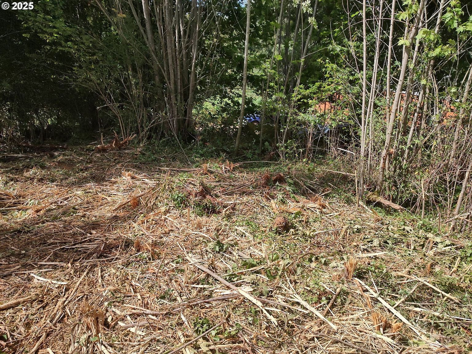 0 Bear Rd Seaside, OR 97138 - Thumbnail 5