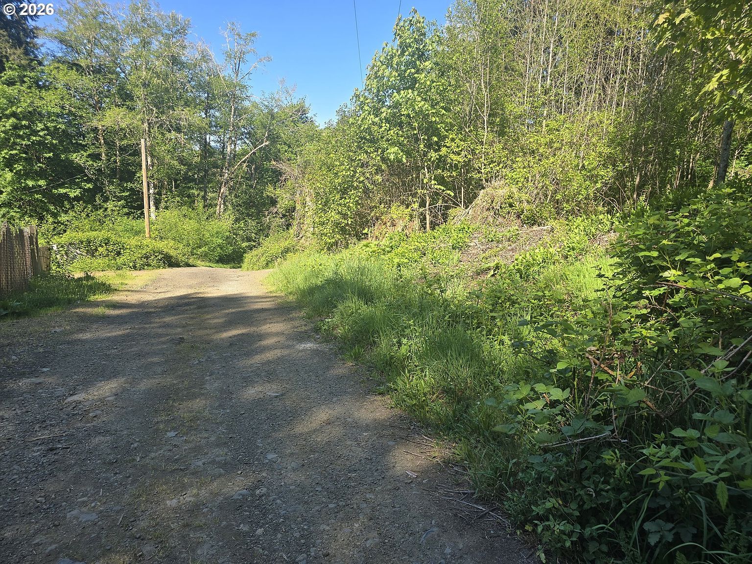 Bear Rd Seaside, OR 97138 - Thumbnail 5
