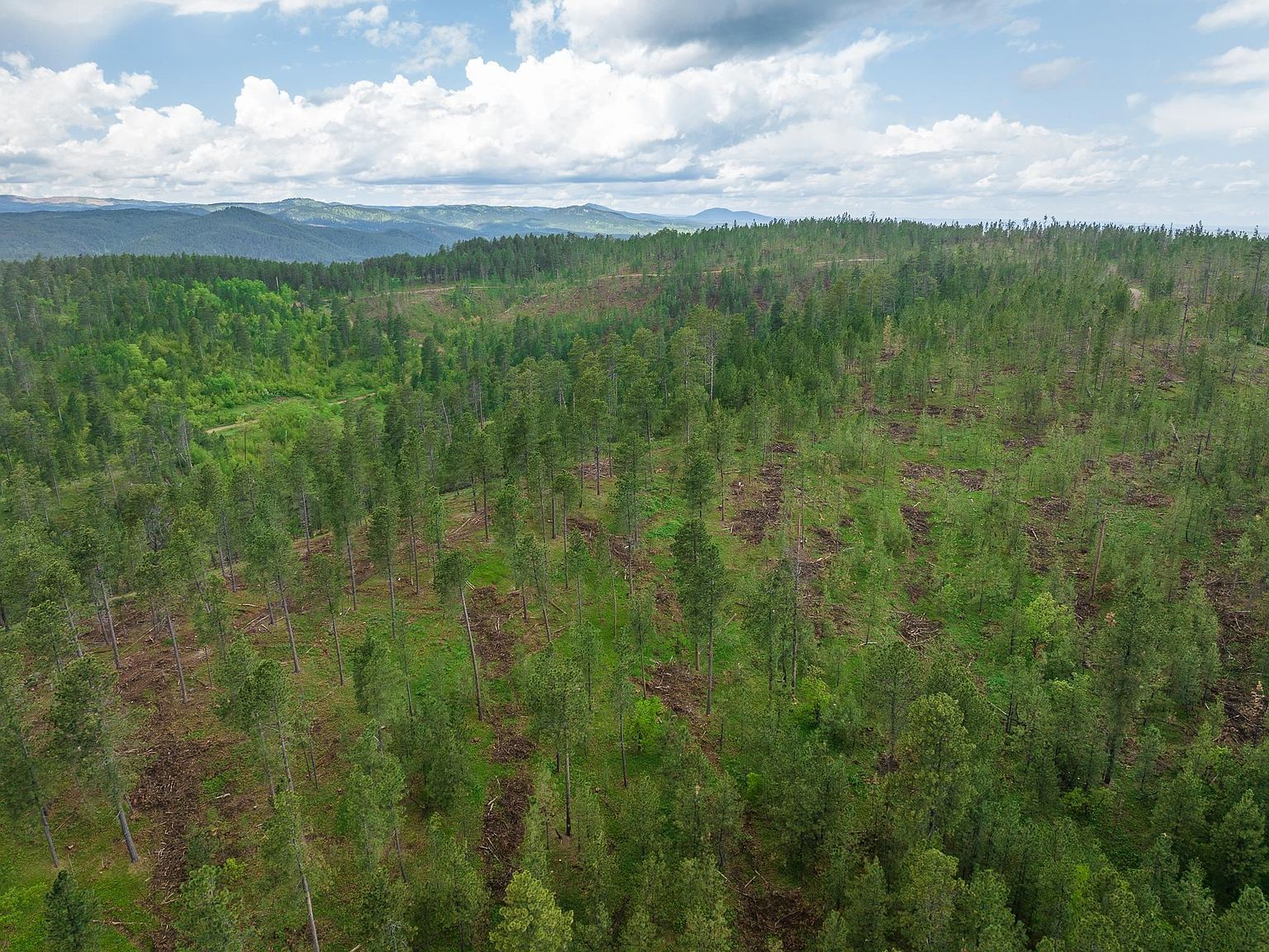 Crook Mountain Rd Sturgis, SD 57785 - Thumbnail 5