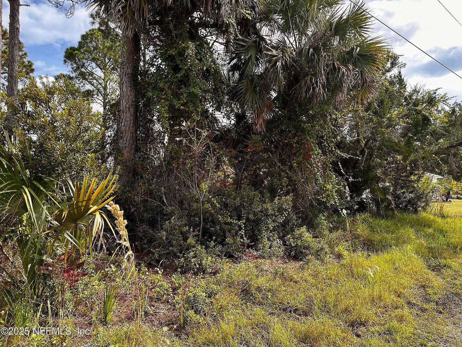 88 Princess Ruth Ln Palm Coast, FL 32164 - Thumbnail 5