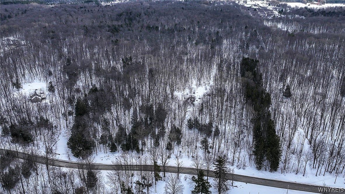 Bleistein Rd Lot 44 Colden, NY 14033 - Thumbnail 5