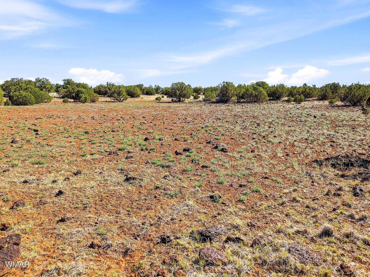8085 County Rd Concho, AZ 85924 - Thumbnail 5