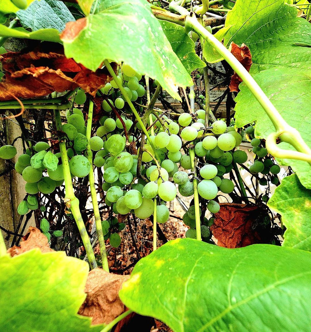 711 Plin St Myrtle Creek, OR 97457 - Thumbnail 5