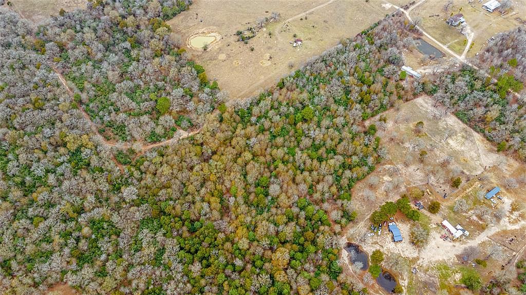 9211 Strange Ranch Ln Midway, TX 75852 - Thumbnail 5