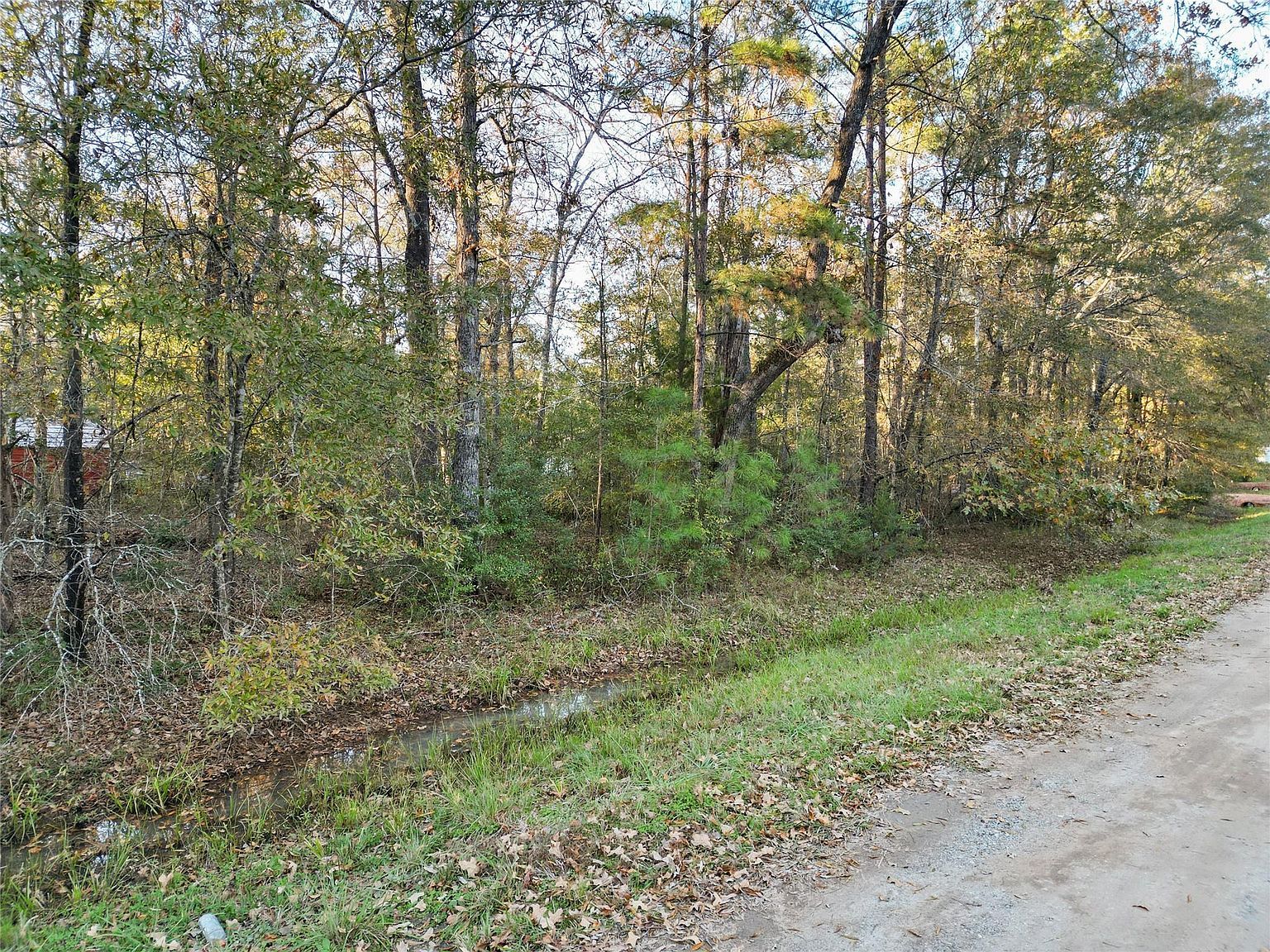 0 Knottypine Livingston, TX 77351 - Thumbnail 5