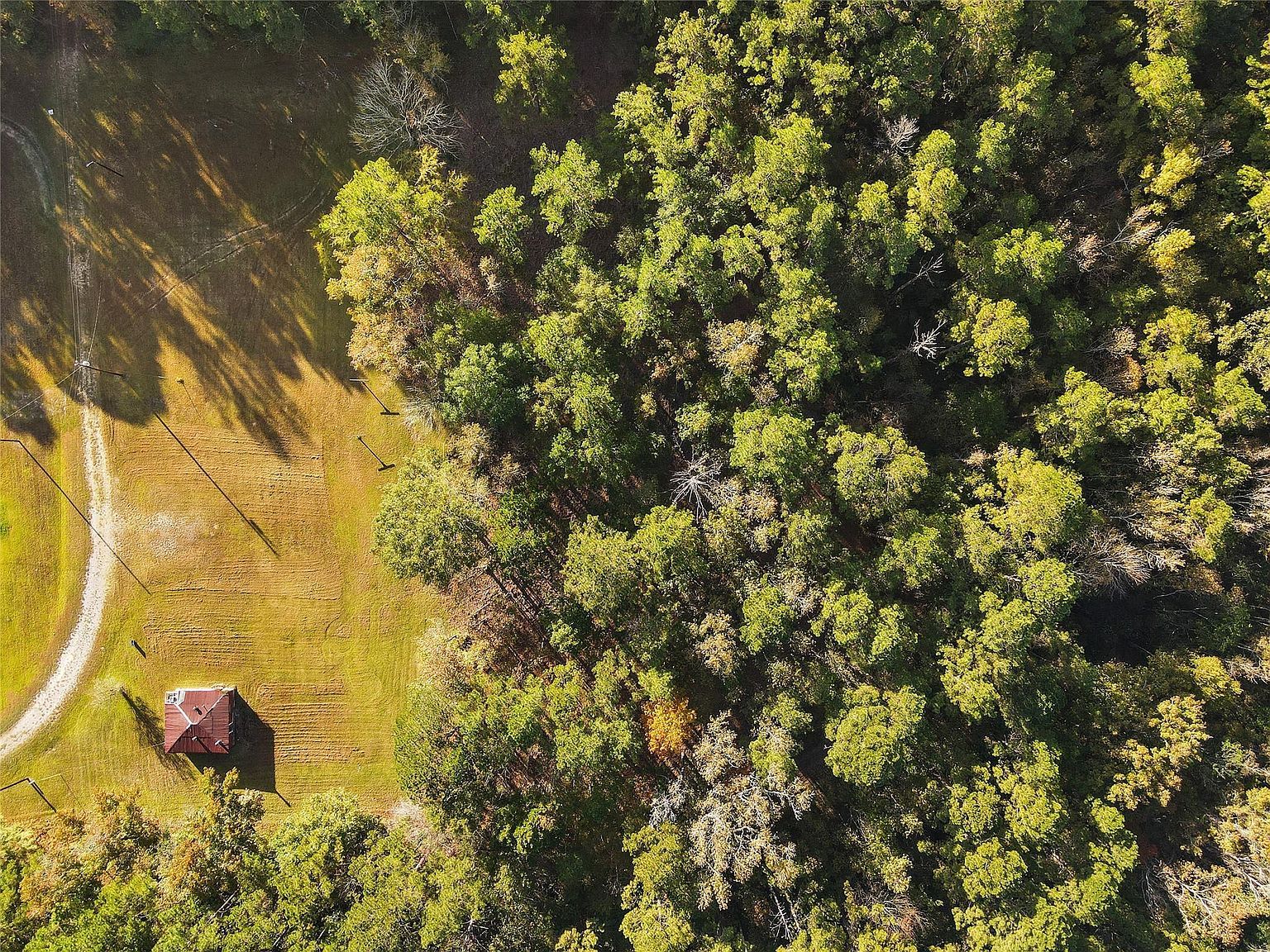 Jordan Rd Pointblank, TX 77364 - Thumbnail 5