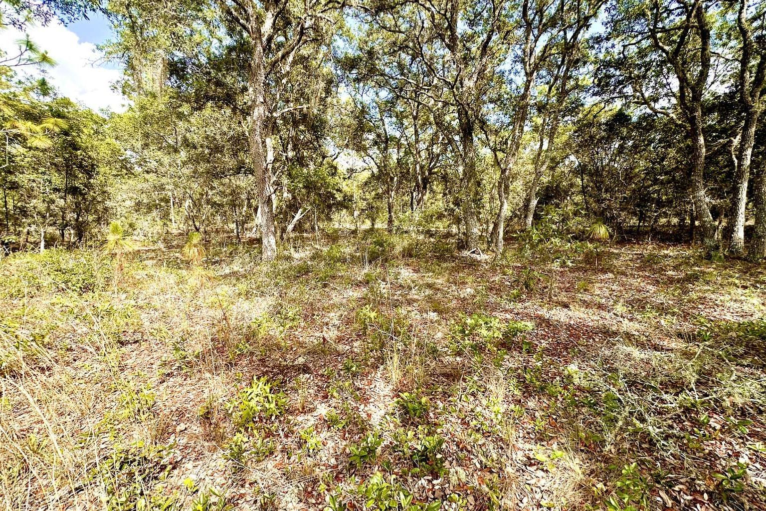 10361 SE 126th Belle Glade, FL 33430 - Thumbnail 5