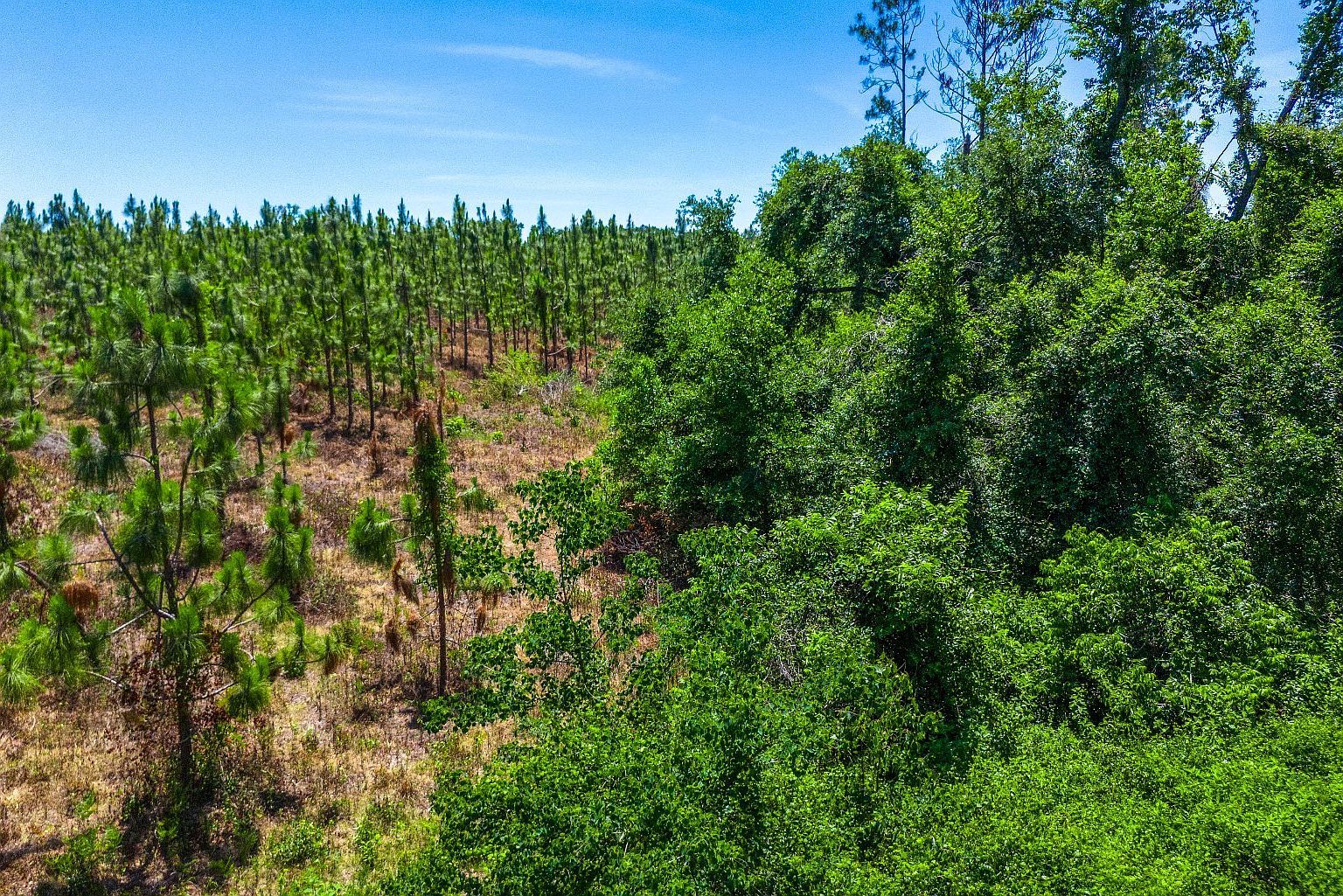 0 SE Coolidge Ave Lee, FL 32059 - Thumbnail 5