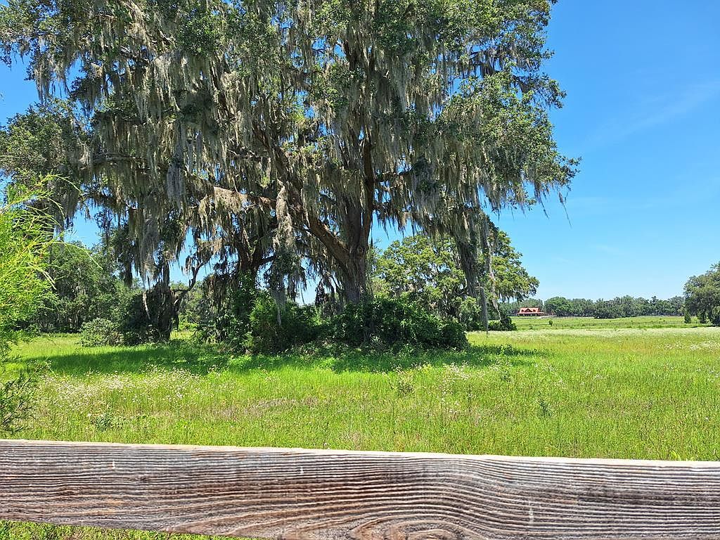 LOT 13 NW 154th Avenue Rd Morriston, FL 32668 - Thumbnail 5