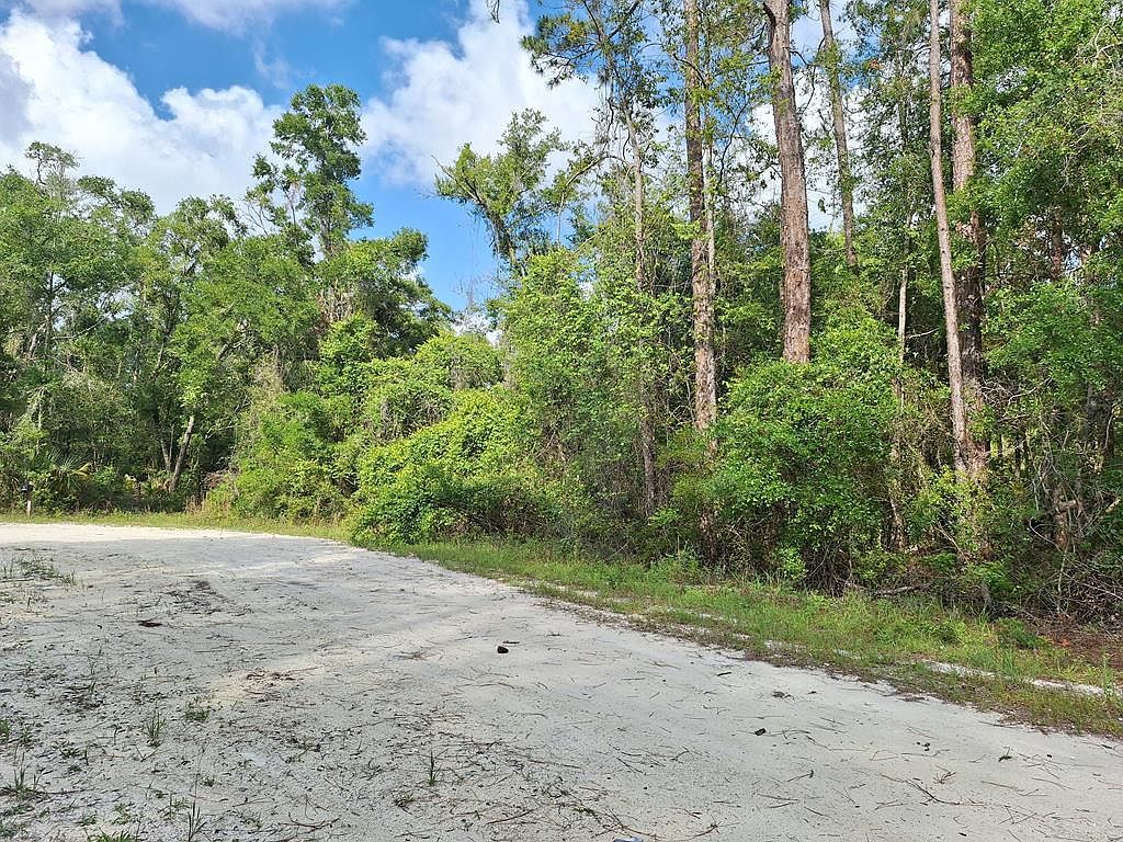 39 NE 512th St Old Town, FL 32680 - Thumbnail 5