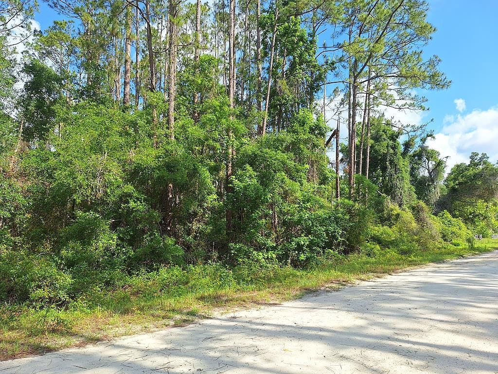 38 NE 512th St Old Town, FL 32680 - Thumbnail 5