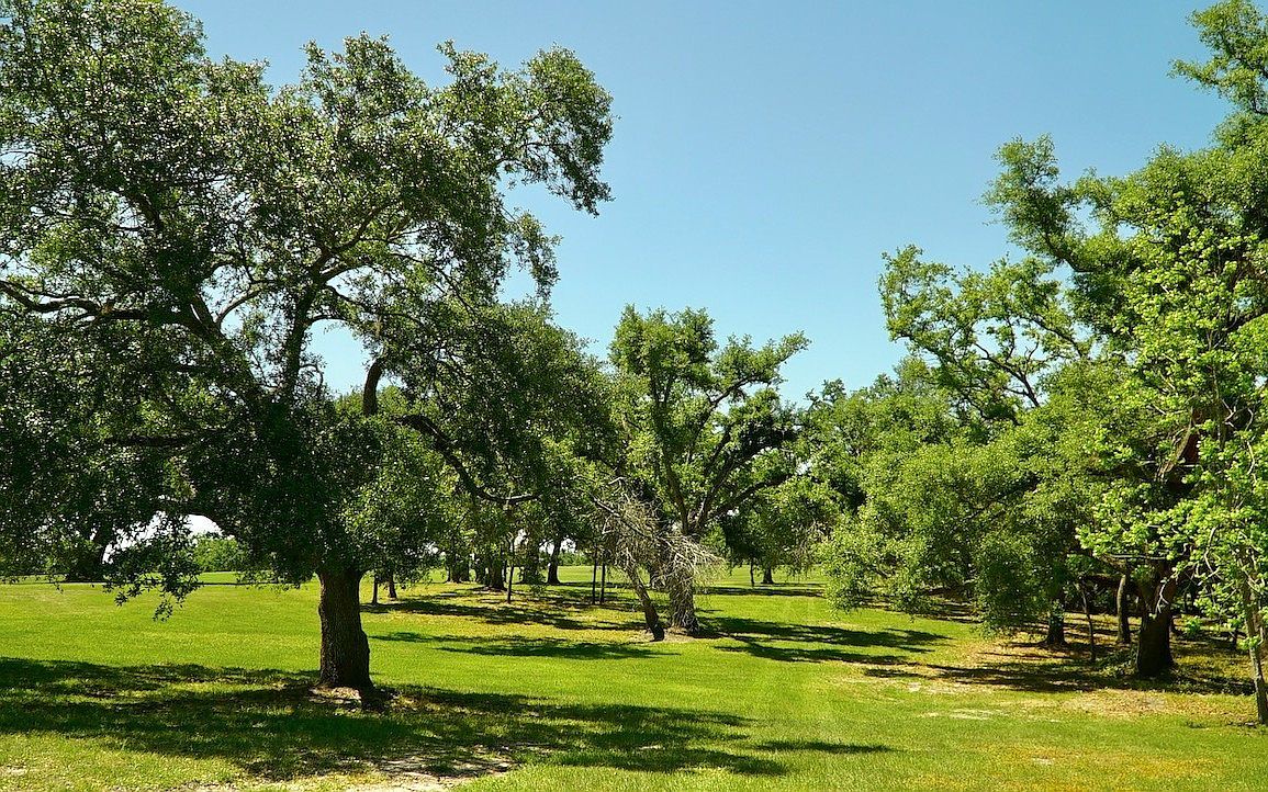 18708 County Road 250 Live Oak, FL 32060 - Thumbnail 5