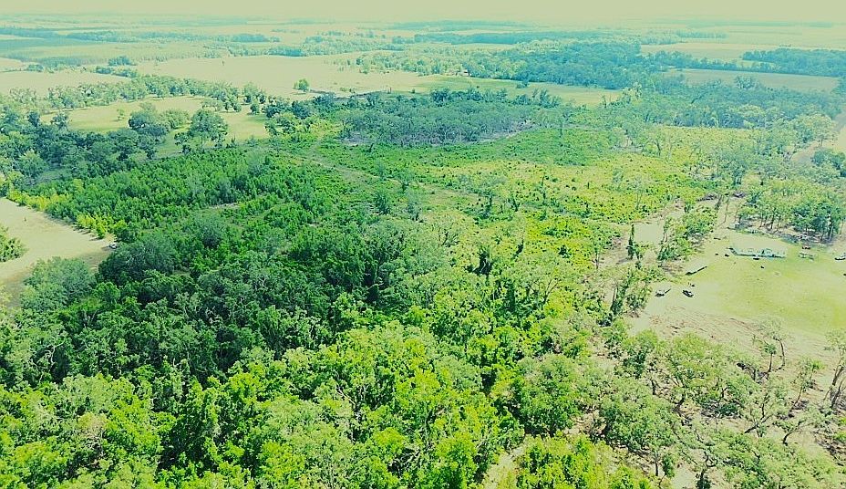 0 SE County Road 412 Mayo, FL 32066 - Thumbnail 5