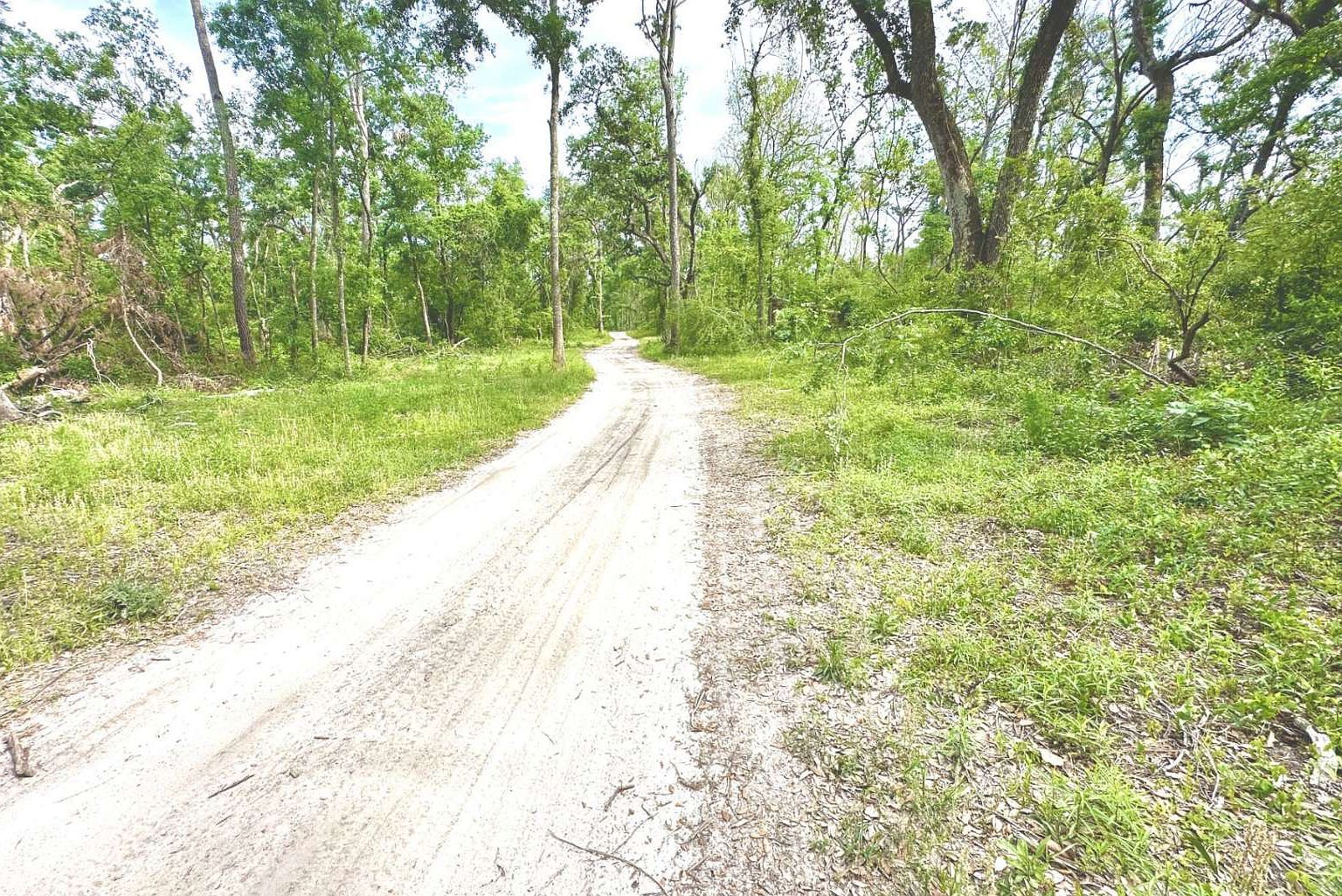 3 NW Fox Run Trl LOT 105 Mayo, FL 32066 - Thumbnail 5