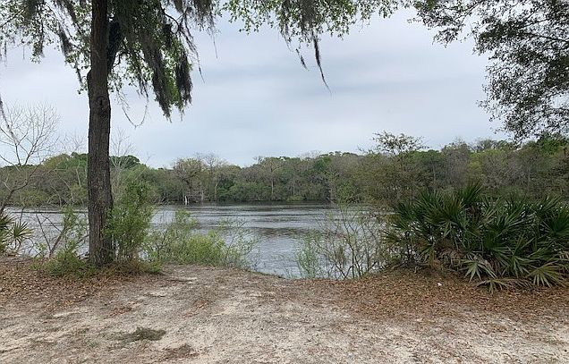 17 SE Elisha Blvd LOT 55 Branford, FL 32008 - Thumbnail 5