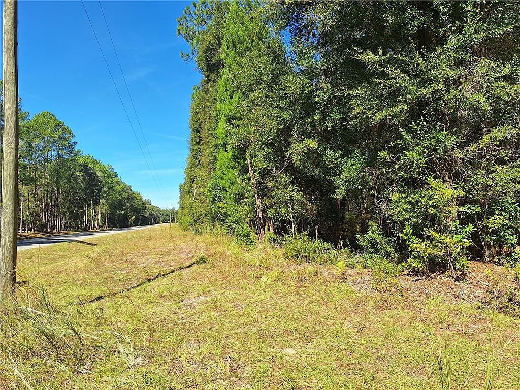 0 SW County Road 138 Fort White, FL 32038 - Thumbnail 5