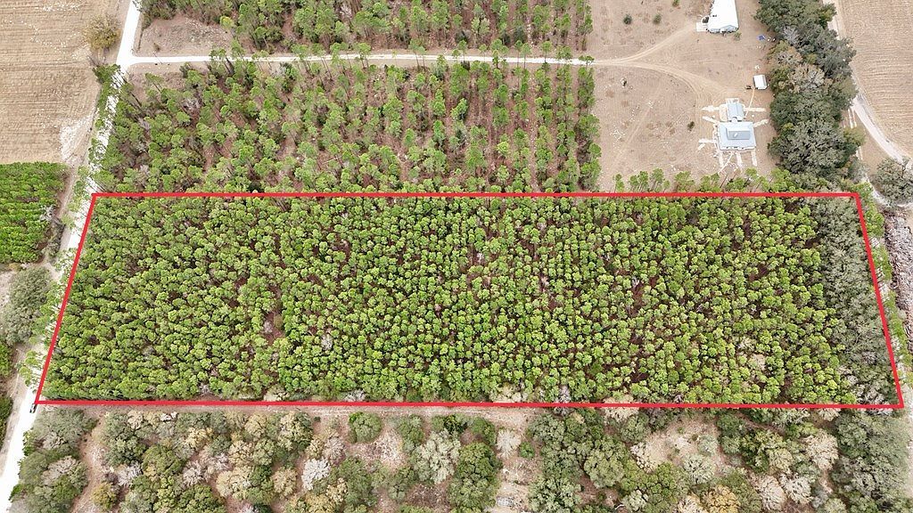 NE 10th Ave Trenton, FL 32693  | Land/Lot