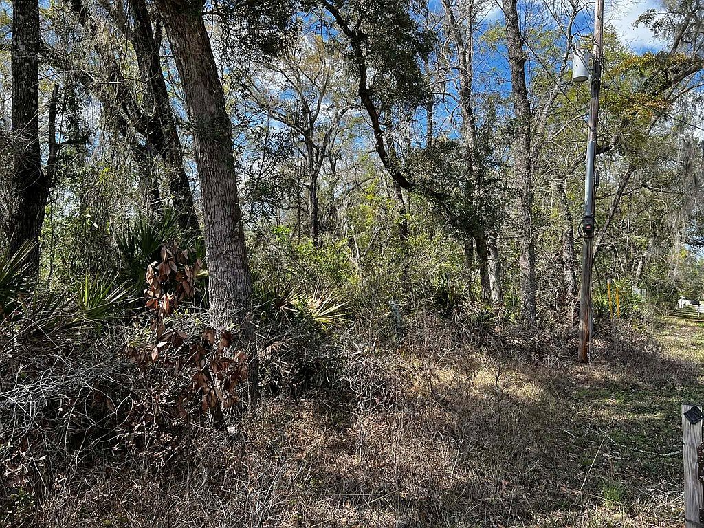 164 SE 935th St Old Town, FL 32680 - Thumbnail 5