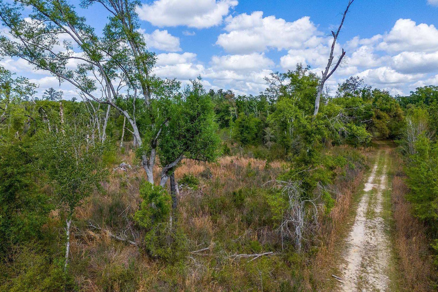 County Road 132 Live Oak, FL 32060 - Thumbnail 5