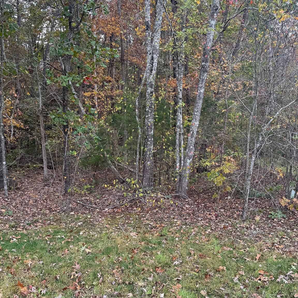 10150 Rainbow Ln Spotsylvania, VA 22551 - Thumbnail 5