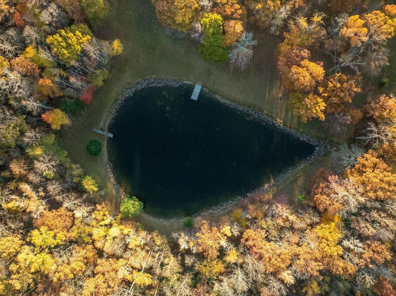 10325 Mill Pond Rd Spotsylvania, VA 22551 - Thumbnail 5