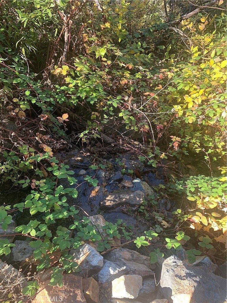 0 Four Trees Rd Oroville, CA 95965 - Thumbnail 5