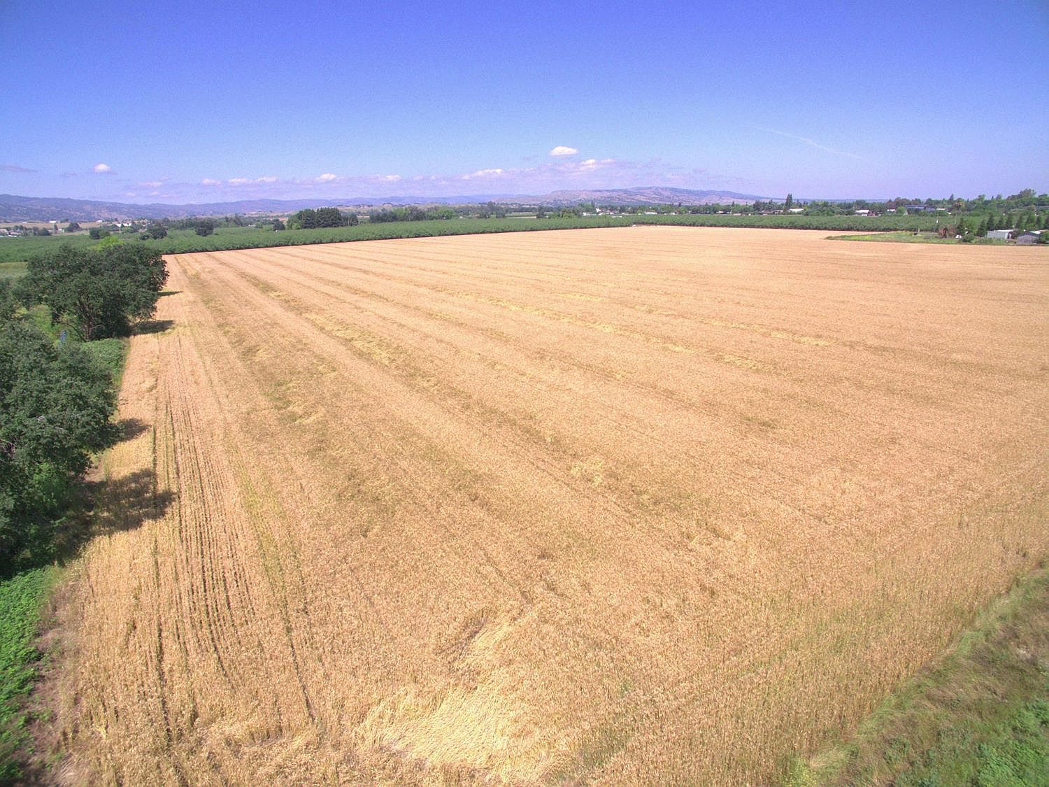 0 County Road 86a Esparto, CA 95627 - Thumbnail 5