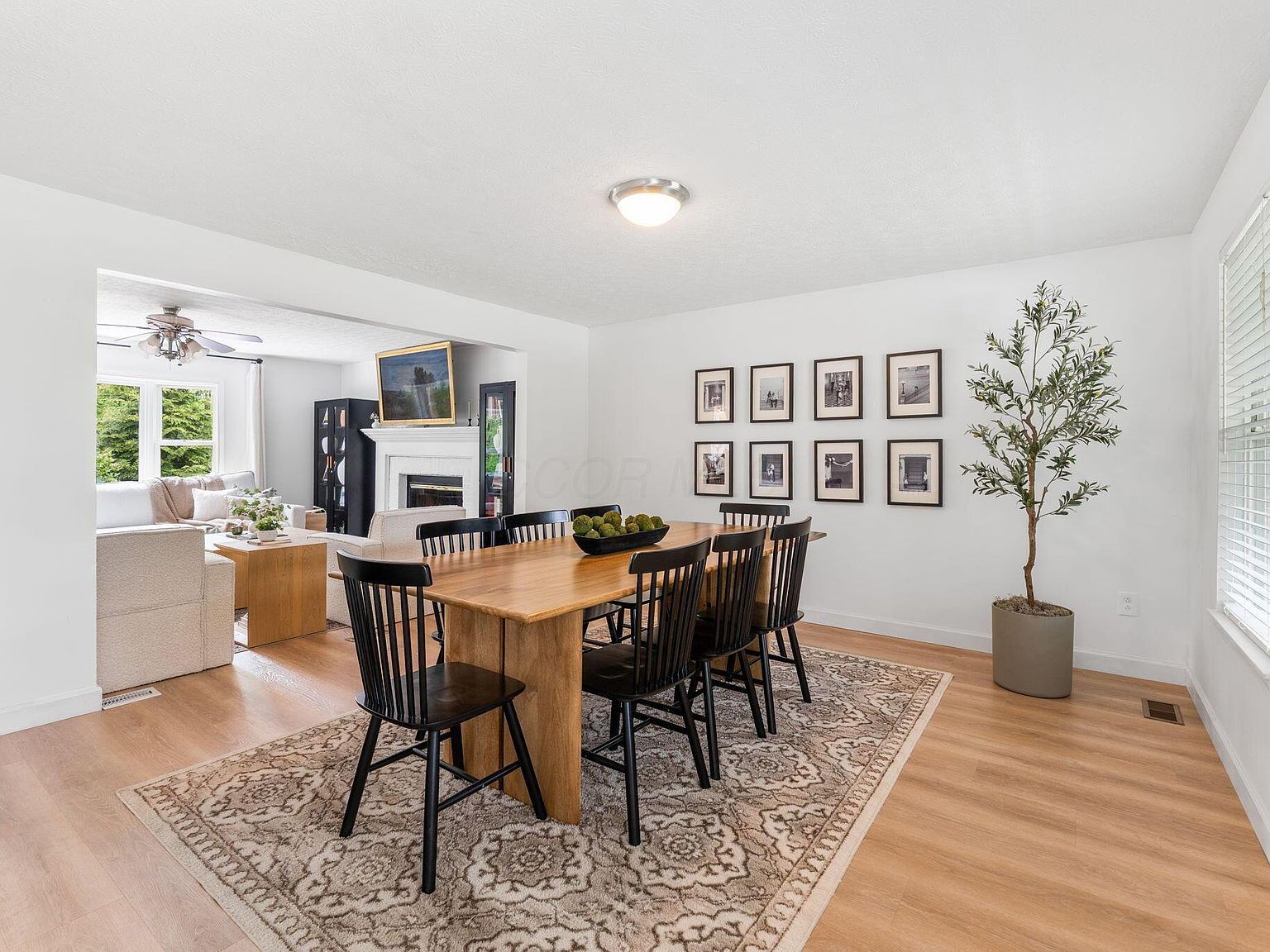 9283 Downing Rd Johnstown, OH 43031 - Thumbnail 5