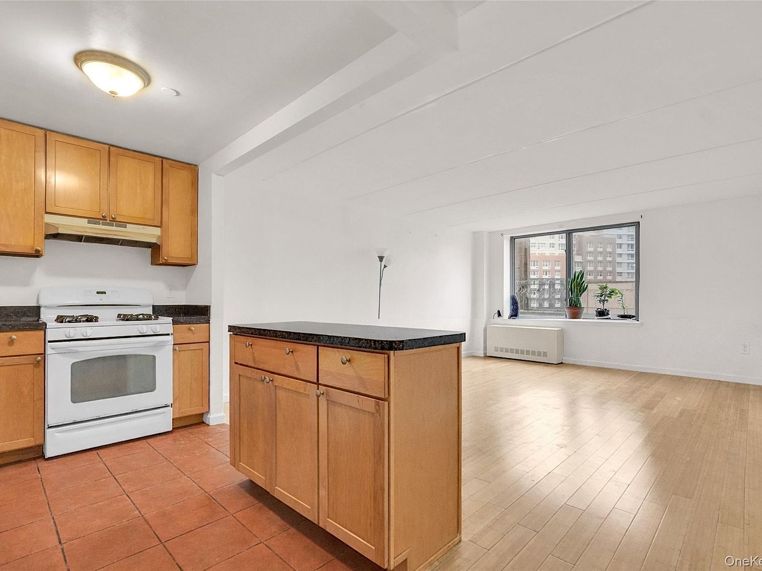 837 Washington Ave APT 4B Bronx, NY 10451 - Thumbnail 5