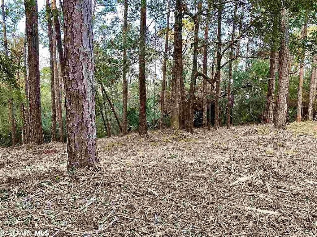 0 Blakeley Oaks Dr S #9 Daphne, AL 36527 - Thumbnail 5