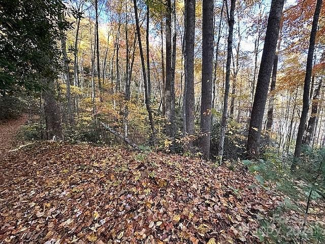 124&125 Large Poplar Trl Waynesville, NC 28785 - Thumbnail 5