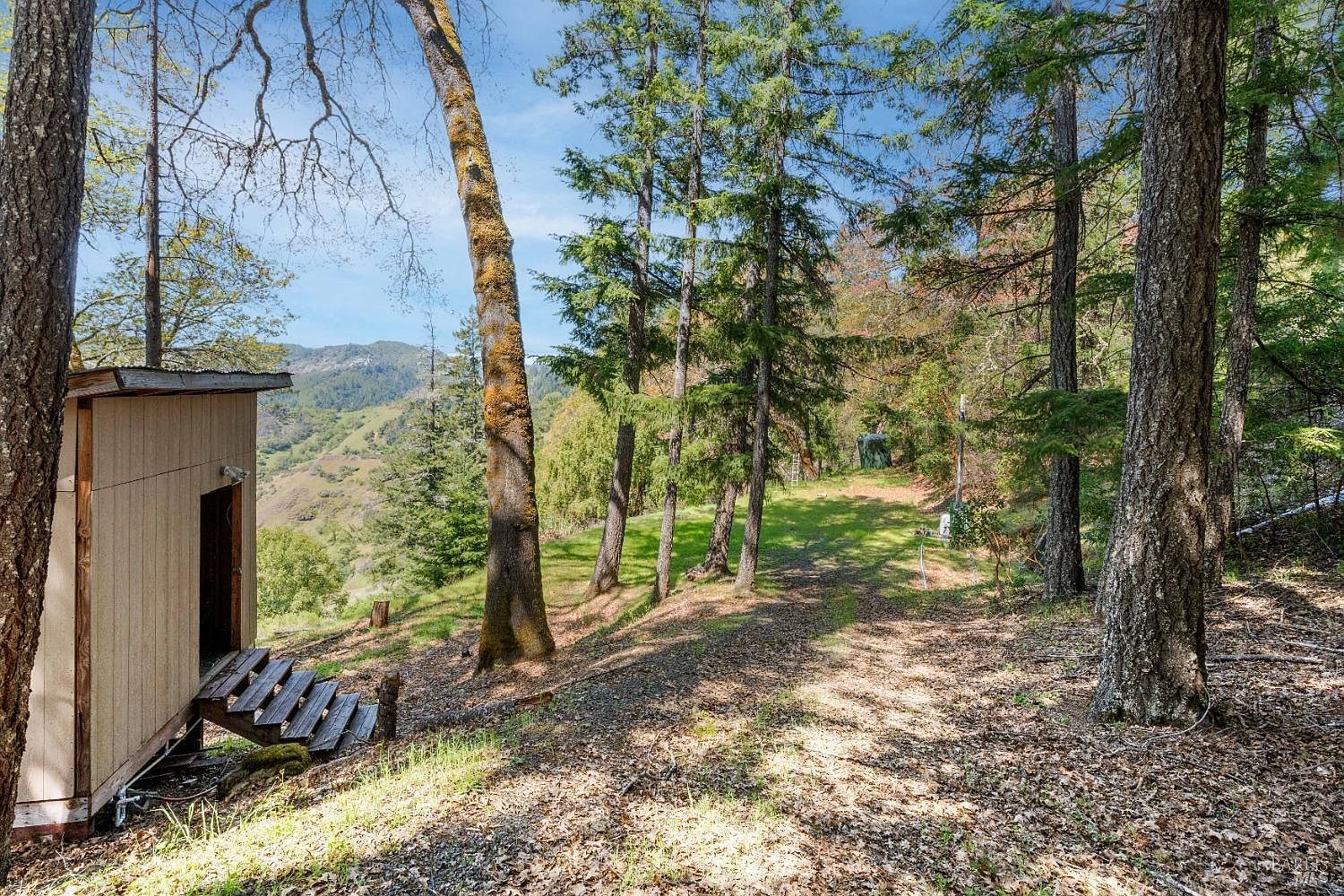 15800 Ridgeview Rd Willits, CA 95490 - Thumbnail 5