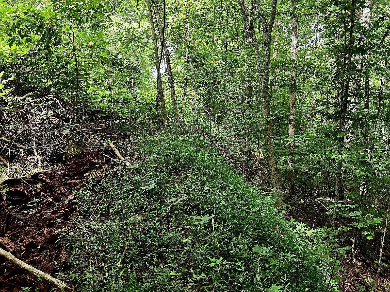 491 Chetola Trl Townsend, TN 37882 - Thumbnail 5