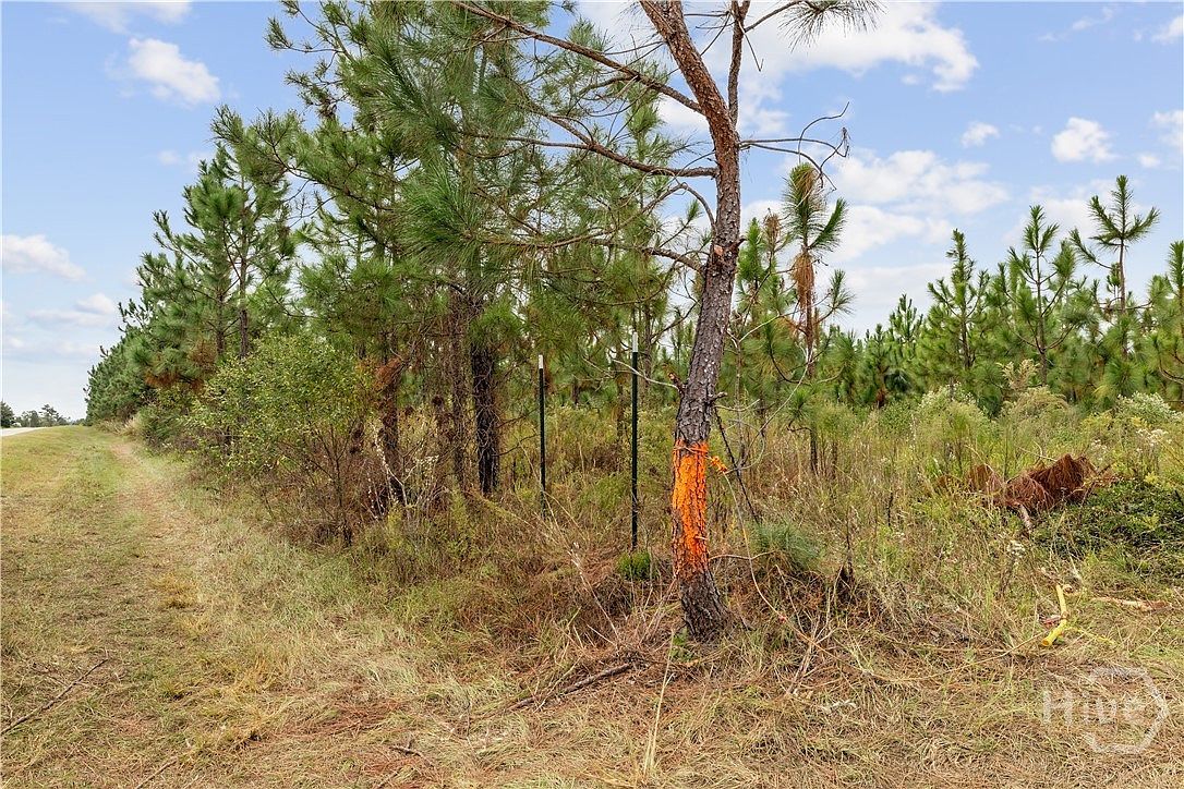 0 State Highway 297 TRACT 3 Soperton, GA 30457 - Thumbnail 5