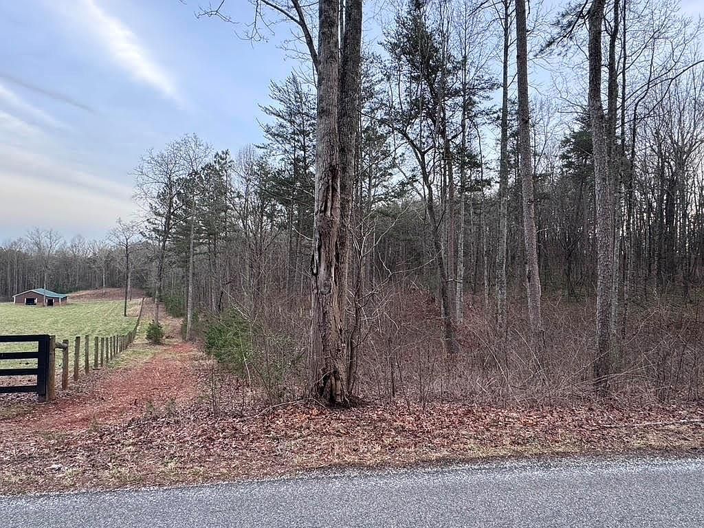 202 Emma Ter Dawsonville, GA 30534 - Thumbnail 5