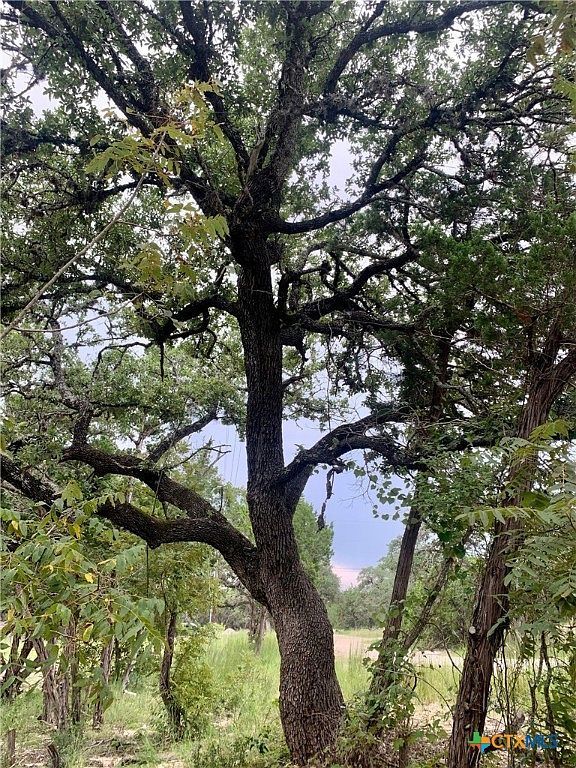 807 Stagecoach Trl Spring Branch, TX 78070 - Thumbnail 5