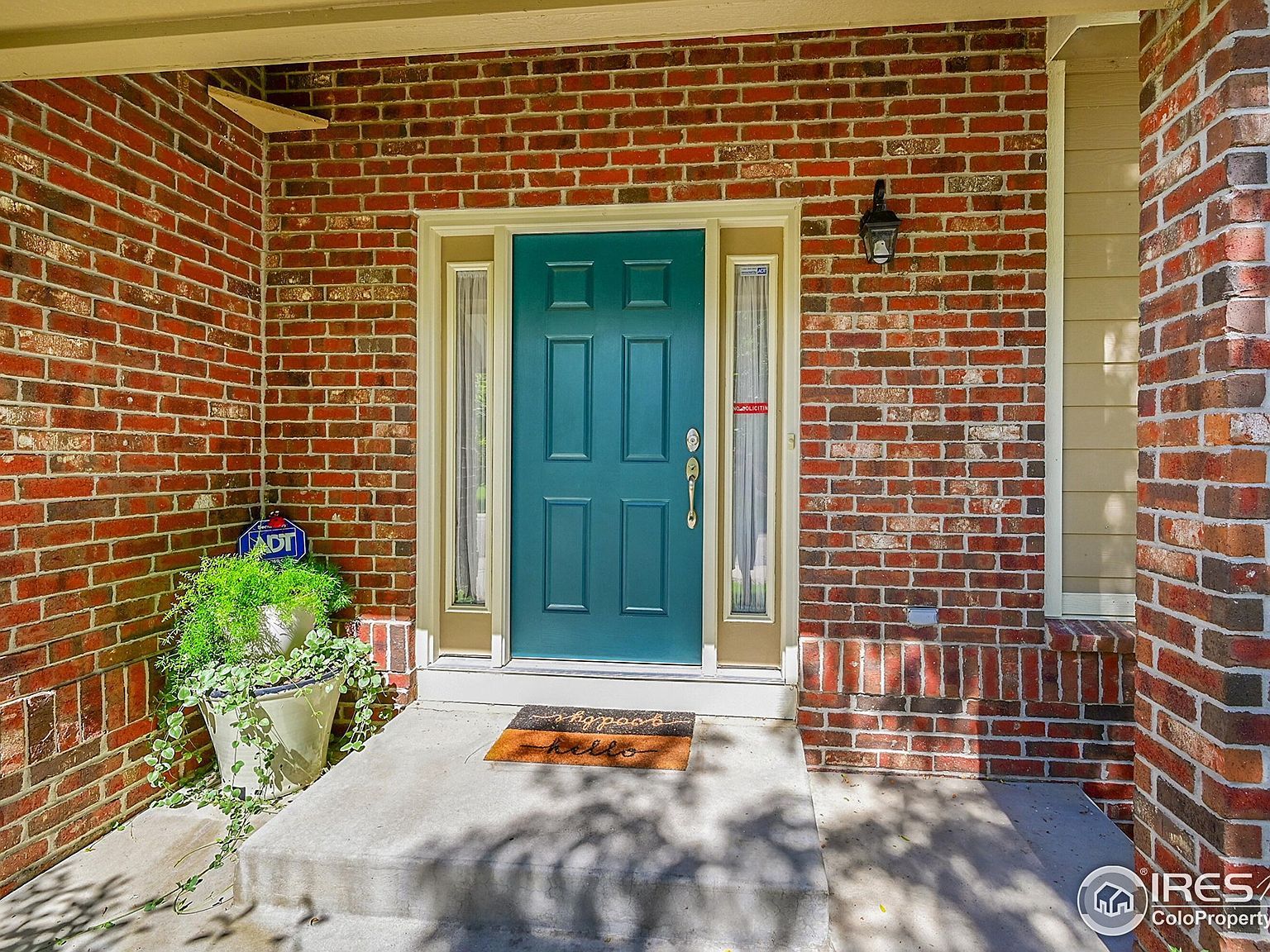 5520 Morgan Way Frederick, CO 80504 - Thumbnail 5