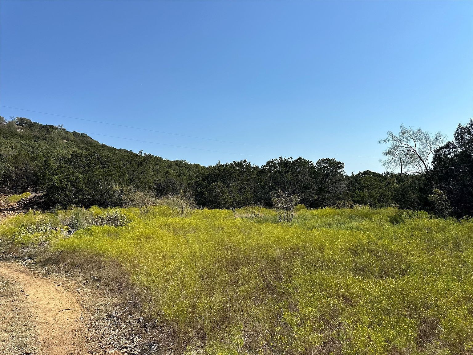 106 Wooded Acres Dr Mineral Wells, TX 76067 - Thumbnail 5